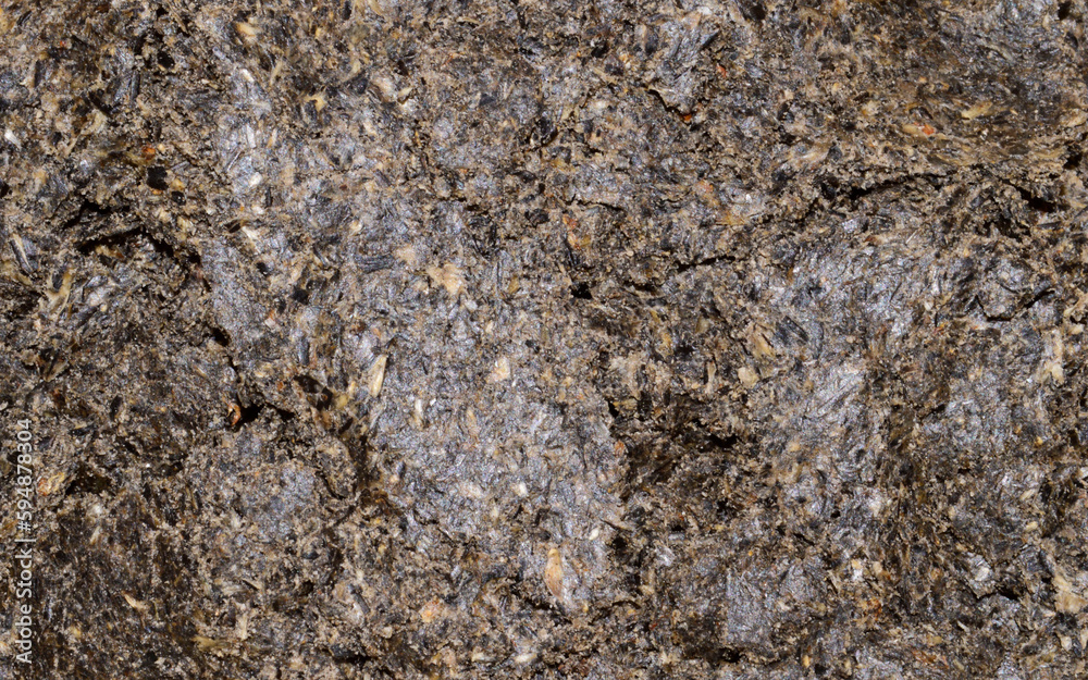 crushed sunflower seeds isolated on white background crushed sunflower seeds isolated on white background