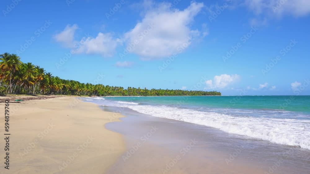 Caribbean beach with coconut palms on golden sand. Idyllic seascapes of the Dominican Republic. The picturesque coast of a paradise island with a bright natural landscape. Sea waves with white foam. Caribbean beach with coconut palms on golden sand. Idyllic seascapes of the Dominican Republic. The picturesque coast of a paradise island with a bright natural landscape. Sea waves with white foam.