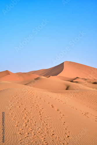 Footsteps on the dunes of the Sahara desert, Morocco, on a clear blue sky day. Portrait shot.