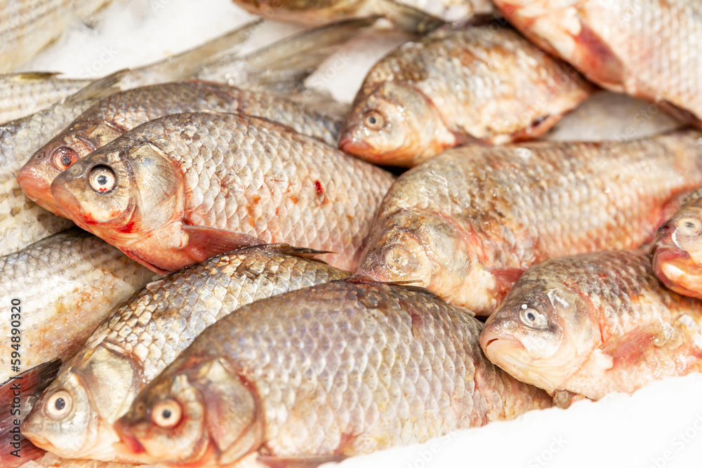 Fresh chilled carp on ice in the store. Fish and seafood. Close-up. Fresh chilled carp on ice in the store. Fish and seafood. Close-up.