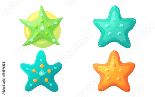 set vector illustration of fishstar collection isolated on white background photo
