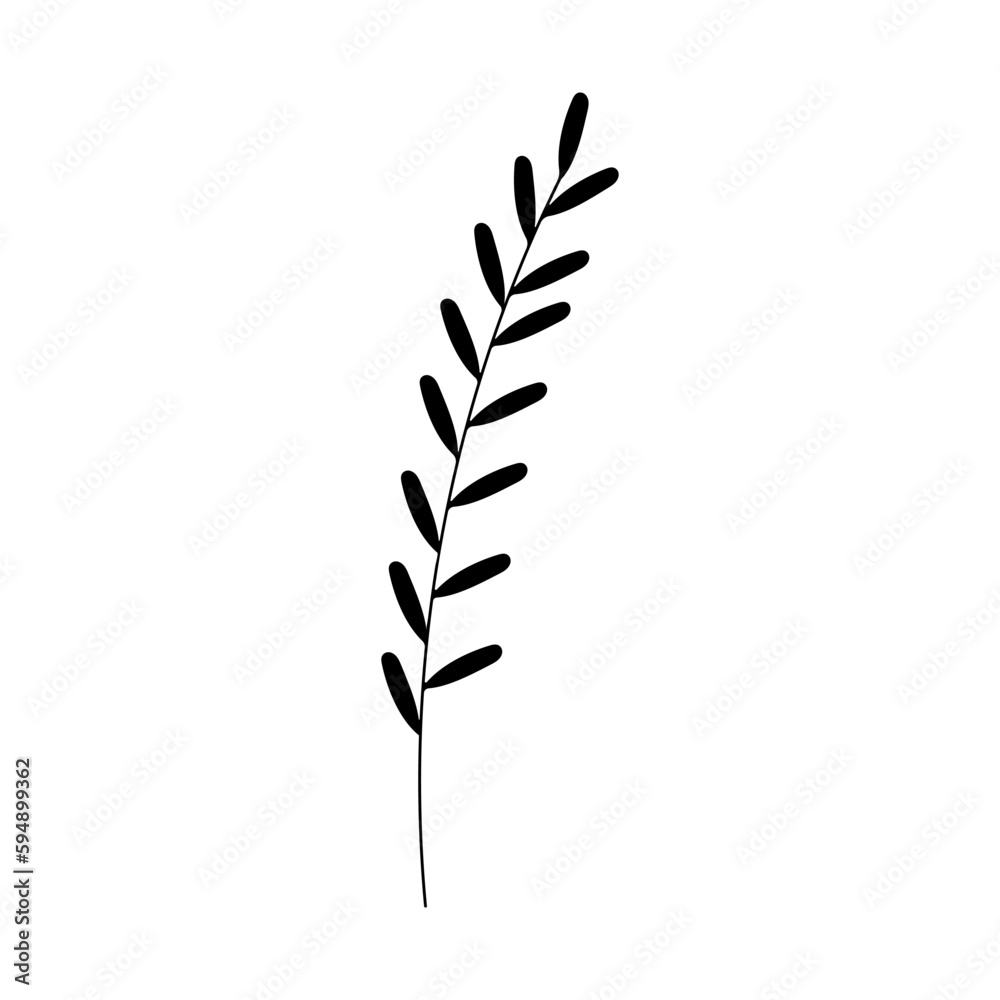 Plant twig on isolated white background in hand drawn style.