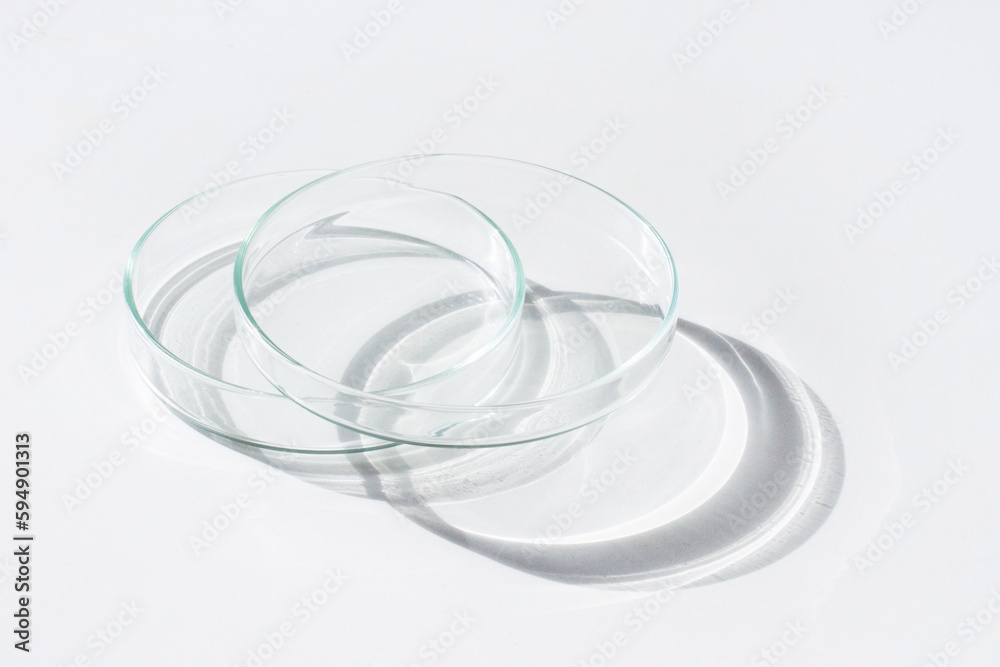 Empty Petri dish. On a white background. Bright sunlight. Deep shadows. Contrast. Laboratory. Petri dishes. Empty Petri dish. On a white background. Bright sunlight. Deep shadows. Contrast. Laboratory. Petri dishes.
