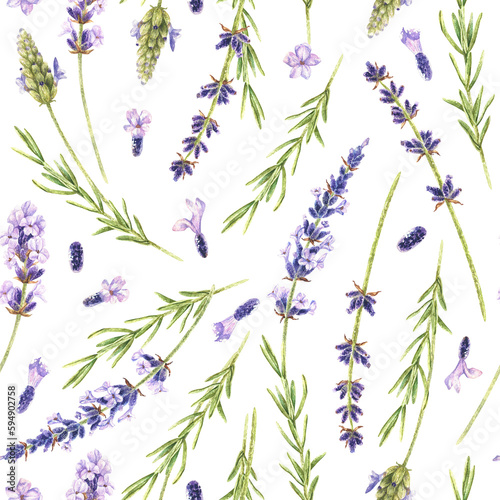Watercolor botanical illustration. Seamless pattern of purple lavender wild flowers. Fragrant field herb. Hand drawn on a white background. For wrapping paper, fabrics for home textiles, clothing