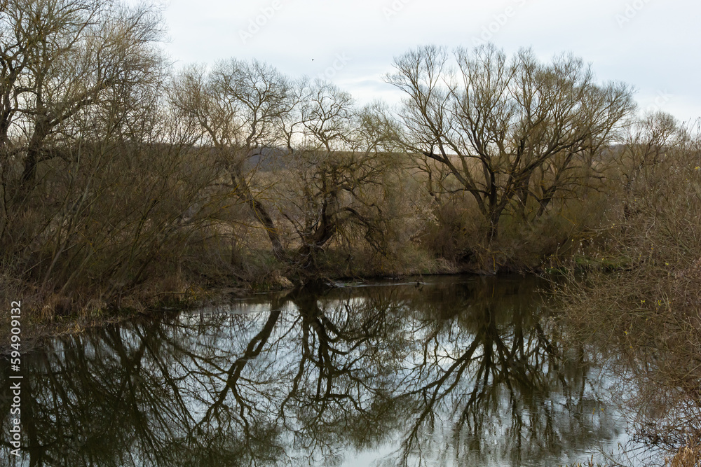 Reflection of trees in the mirror surface of the water of the lake of the city pond. Spring still life photo Reflection of trees in the mirror surface of the water of the lake of the city pond. Spring still life photo