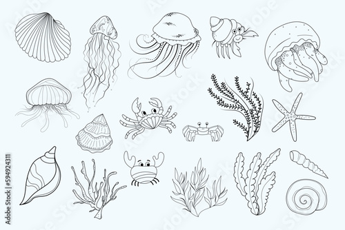 Ocean animals, crabs and plants vector clipart