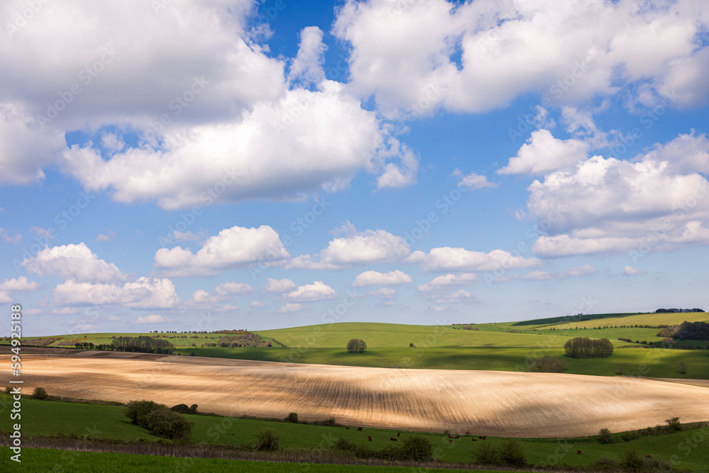 Beautiful views looking east over the south downs from the outskirts of Stamner park east Sussex south east England