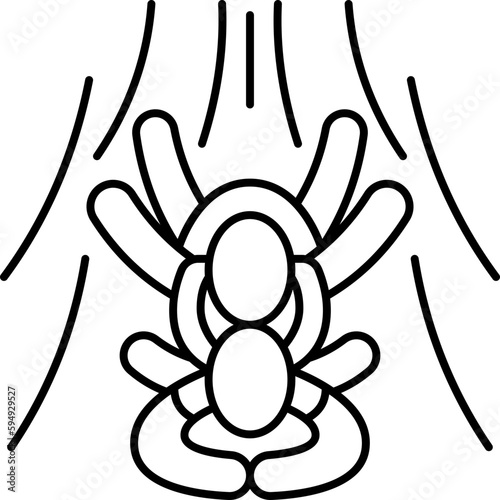 tandem  icon
