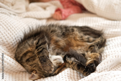 Close-up of fluffy tabby cat lying down with baby child. Pet kitten sleeping with little kid together on soft bed in cozy bedroom. Concept of home comfort. Carefree childhood with domestic Animals