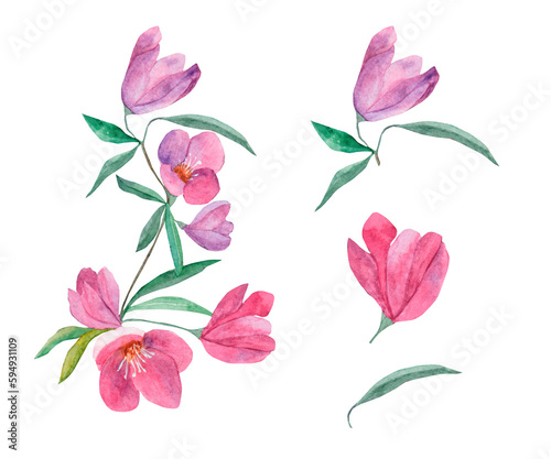 Wallpaper Mural Purple flowers.Bouquet of flowers. Template for printing gift wrapping, invitations. Elements of watercolor flowers. Torontodigital.ca