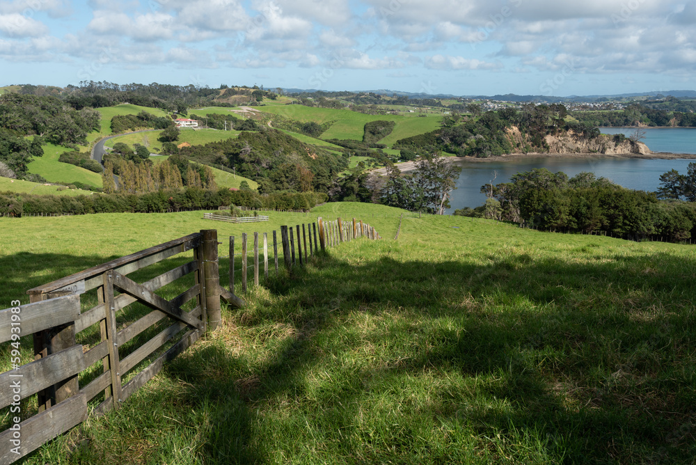 View overlooking Scandrett Bay with a 5-bar gate, fence and grassy farmland in the foreground. Scandrett Regional Park, Auckland, New Zealand.