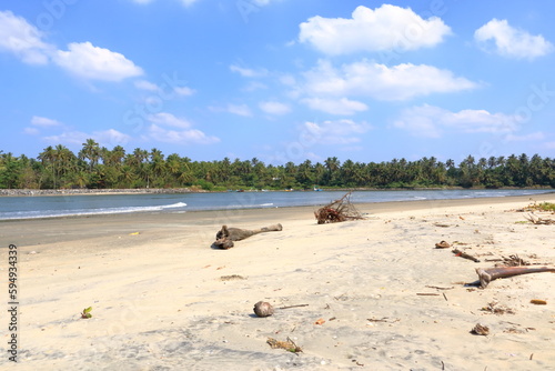 the lake and backwaters behind Dharmadam beach in Kannur, Kerala, India photo