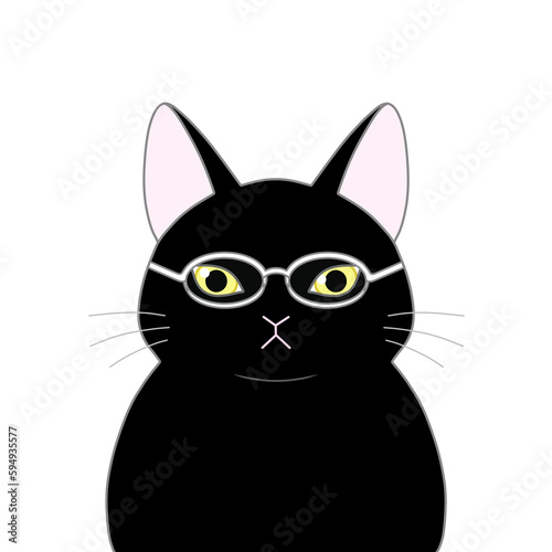 小さいメガネをかけた黒色の猫