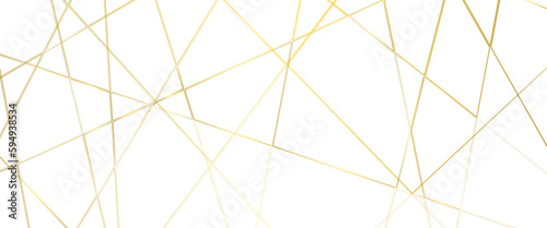 Luxury banner presentation gold line background, abstract white gray colors with gold lines pattern texture business background. 