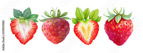Fototapeta Naklejka Na Ścianę i Meble -  Strawberry watercolor fruit hand painted. Vegetable fresh fruit summer isolated on white background. Red berry fruit vector illustration