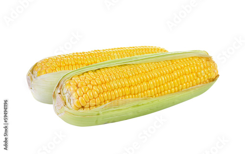 Sweet corn isolated on  transparent png