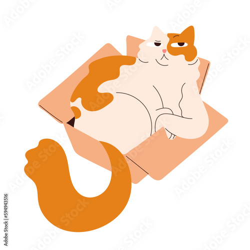 Cute amusing cat lying inside box. Funny fat kitty relaxing in cardboard. Adorable plump chubby fluffy feline animal, pussycat resting. Flat vector illustration isolated on white background