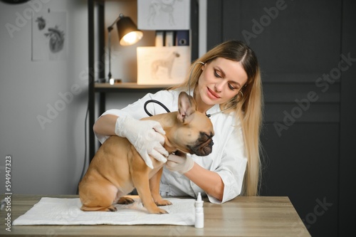 Female Vet Examining French Bulldog