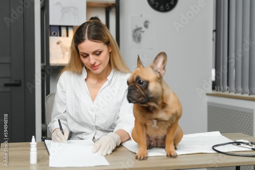 medicine, pet care and people concept - close up of french bulldog dog and veterinarian doctor hand at vet clinic