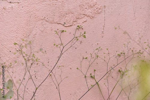 The old pink wall was peeled off. Vintage background concept for design.