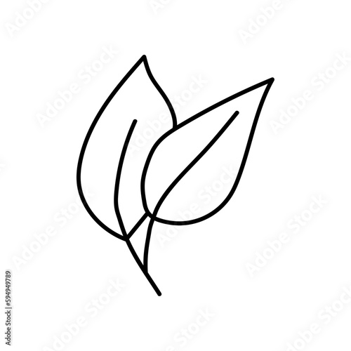 Hand drawn vector tree leaf.