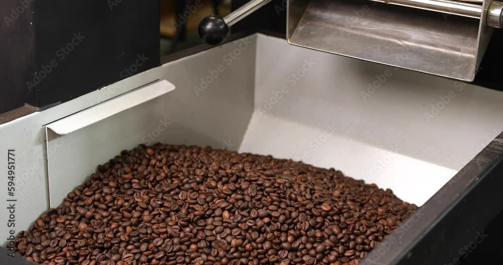 Coffee beans are poured into a modern roasting machine. The coffee is roasted using high technology in a production. Lots of coffee in the vat. A man's hand in a black glove turns on the lever. Coffee beans are poured into a modern roasting machine. The coffee is roasted using high technology in a production. Lots of coffee in the vat. A man's hand in a black glove turns on the lever.