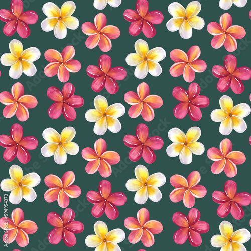Seamless pattern Frangipani plumeria yellow pink flowers. Jungle tropical exotic foliage. Hand-drawn watercolor illustration isolated on dark background. For textiles  packaging  prints