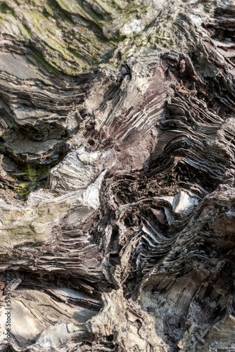 the eroded rocks on the side of the cliff have moss growing around it