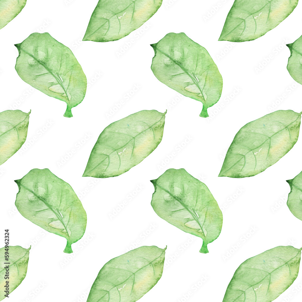 Pattern of watercolor green leaves elements.Botanical pattern solated on white background suitable for Wedding Invitation, save the date, thank you, or greeting card.