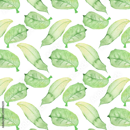 Pattern of watercolor green leaves elements.Botanical pattern solated on white background suitable for Wedding Invitation  save the date  thank you  or greeting card.