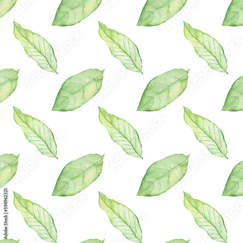 Pattern of watercolor green leaves elements.Botanical pattern solated on white background suitable for Wedding Invitation, save the date, thank you, or greeting card. © Makarova Art