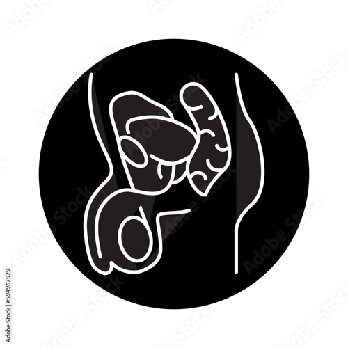 Male genitourinary system color line icon. Pictogram for web page