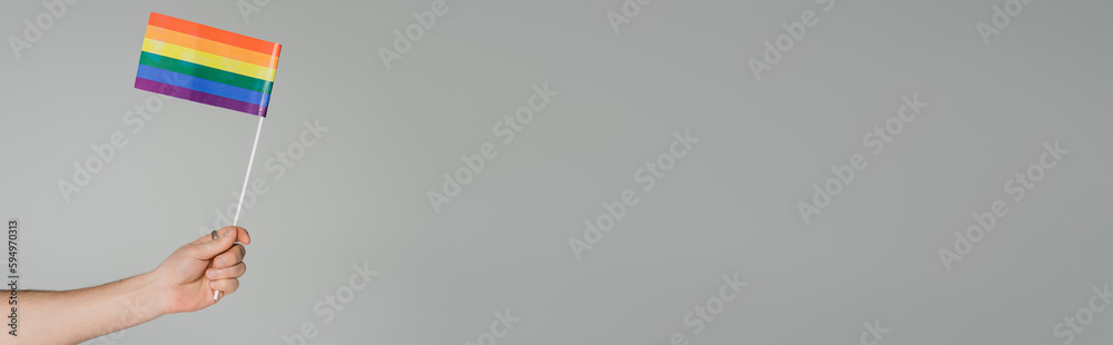 Fototapeta premium Cropped view of homosexual man holding lgbt flag isolated on grey, banner.