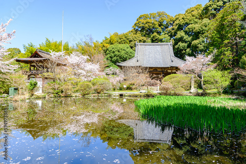 【奈良県】天理市 長岳寺 (2023/03/29撮影) photo