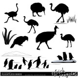 Wildlife. Flightless birds set. Ostriches, penguins, kiwi, kakapo silhouettes. Vector illustration