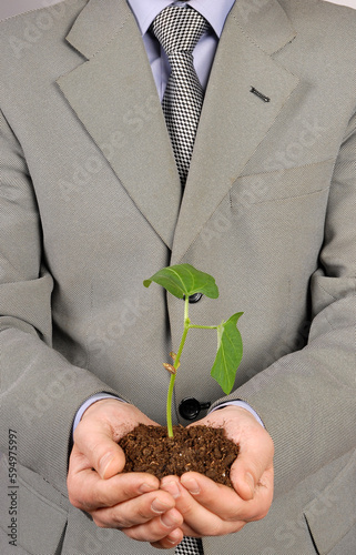 Palm Sapling as Symbol of Premium Nature Conservation Stock Photo