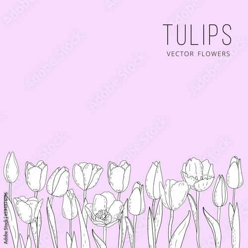 Hand-drawn vector graphic tulips, silhouettes of summer flowers, postcard with a linear bouquet of spring tulips, grasses, herbs and leaves, floral border 