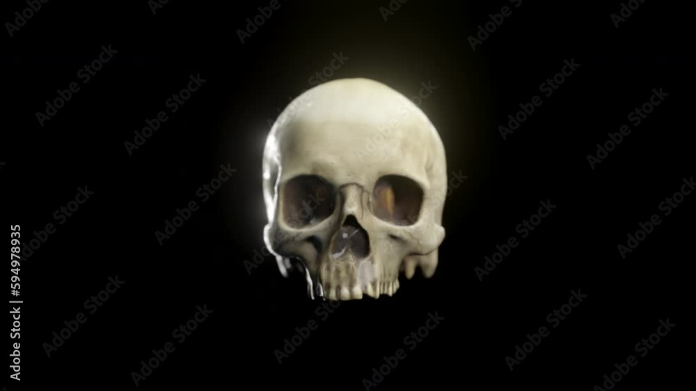 Human Skull. 3D cinematic. Human Skull. 3D cinematic.
