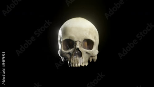 Human Skull. 3D cinematic.
