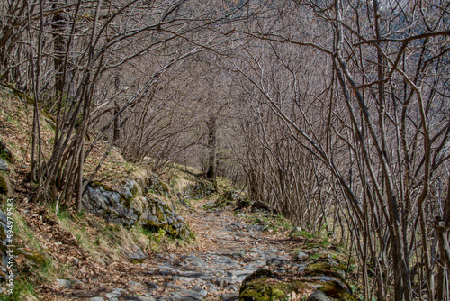 Pyrenees mountains landscape in spring