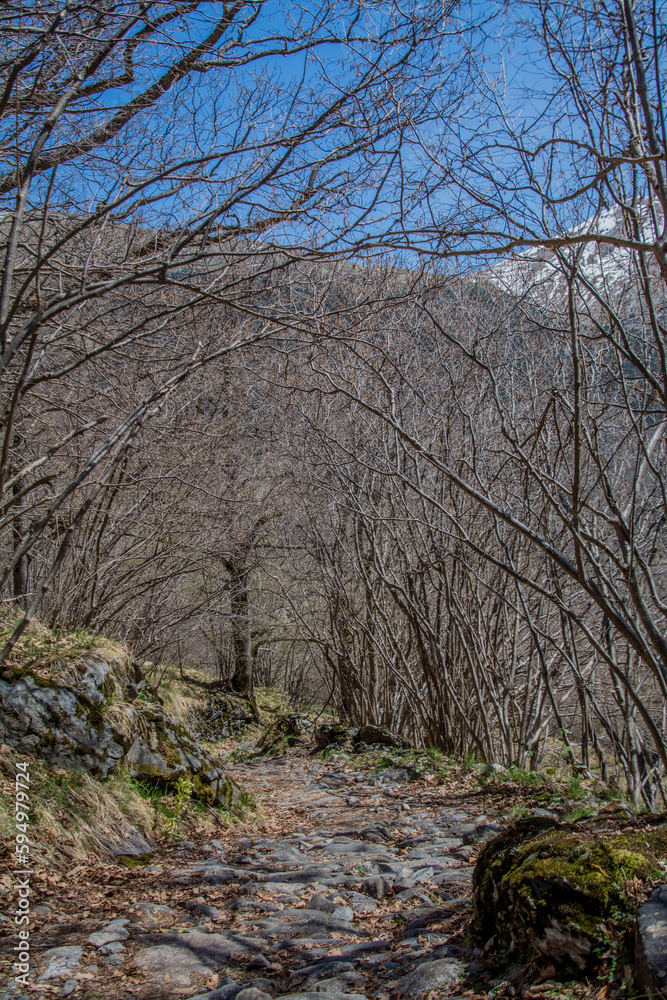 Pyrenees mountains landscape in spring Pyrenees mountains landscape in spring