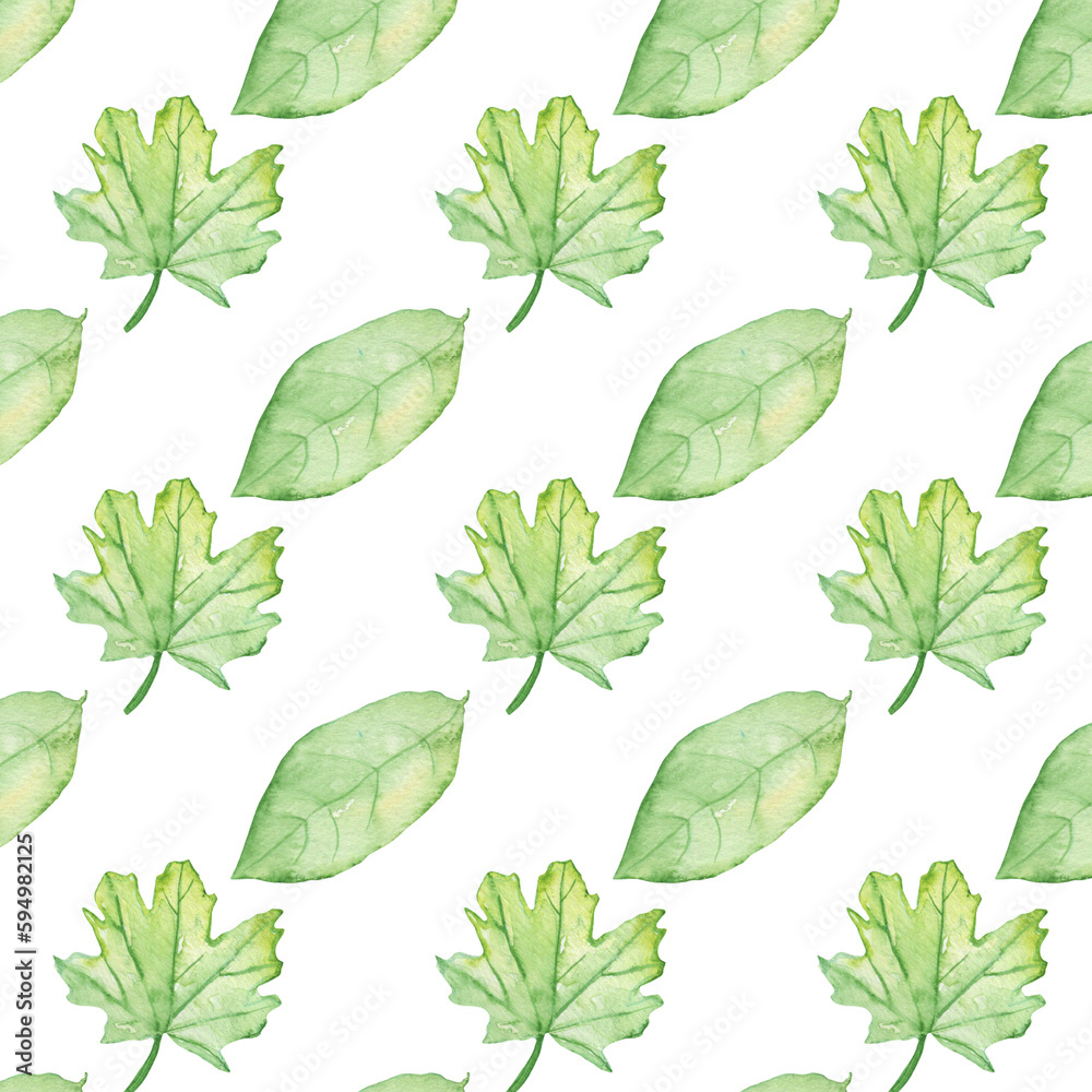 Pattern of watercolor green leaves elements.Botanical pattern solated on white background suitable for Wedding Invitation, save the date, thank you, or greeting card. Pattern of watercolor green leaves elements.Botanical pattern solated on white background suitable for Wedding Invitation, save the date, thank you, or greeting card.