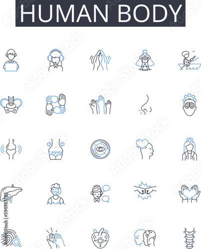 Human body line icons collection. Mental health, Fashion style, Economic growth, Environmental sustainability, Political power, Global economy, Social media vector and linear illustration. Family