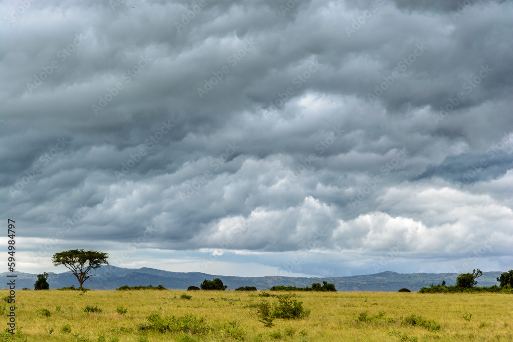 Regenwolken über Queen Elizabeth Nationalpark, Uganda, Afrika