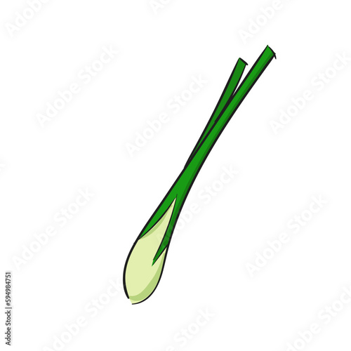 Leek vector