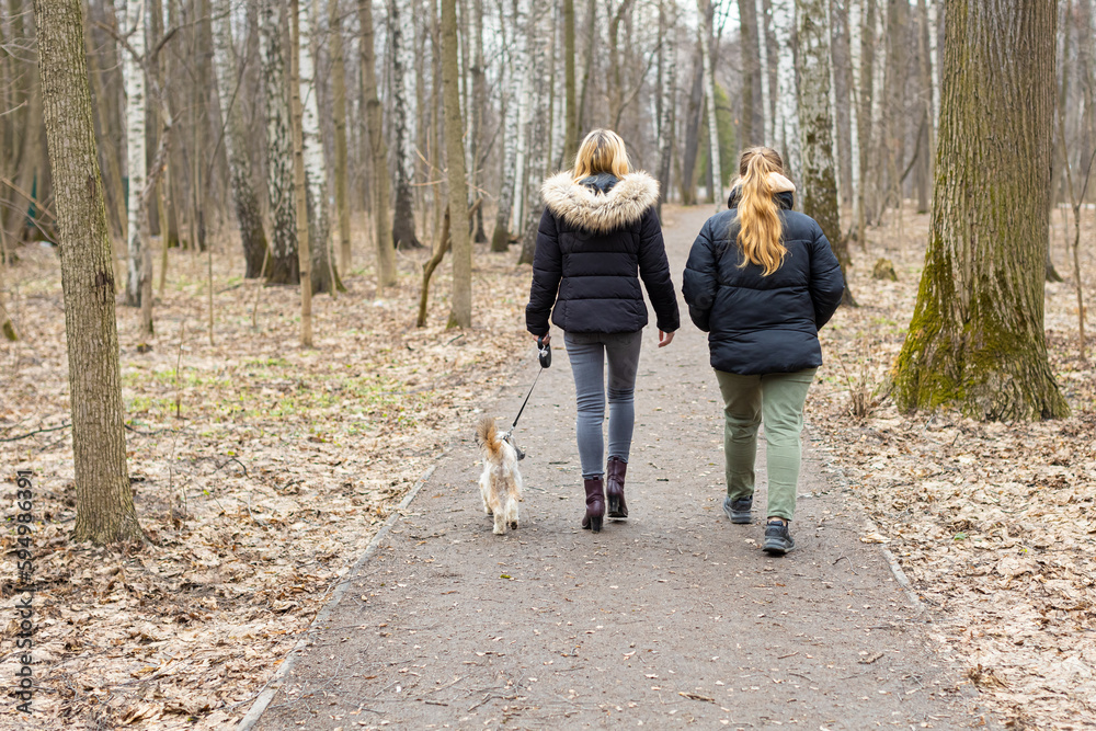 Fototapeta premium Moscow, Russia - April 06, 2023: girl walking the dog in the park