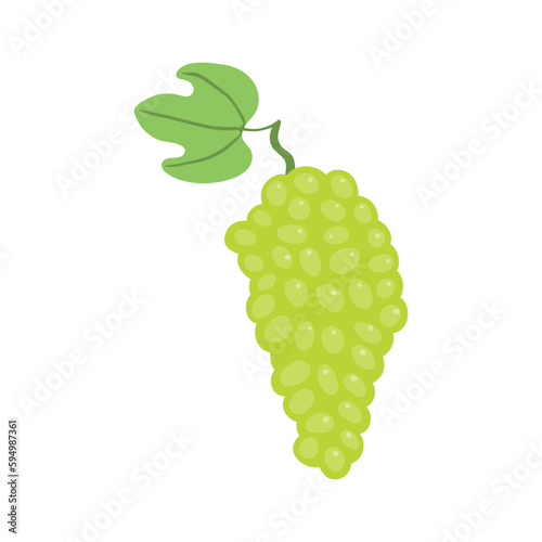 Bunch of grapes hand drawn illustration. Cartoon style flat design, isolated vector. Summer, autumn print element, farming, gardening, harvest, agriculture, healthy food, vegetarian diet, ingredient