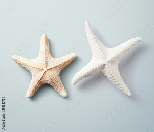 White starfish isolated