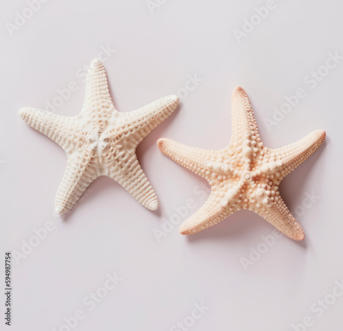 White starfish isolated