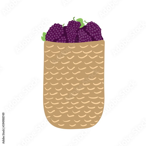 Basket of grapes hand drawn illustration. Cartoon style flat design, isolated vector. Summer, autumn seasonal print element, farming, gardening, harvest, agriculture, wine making, vineyard